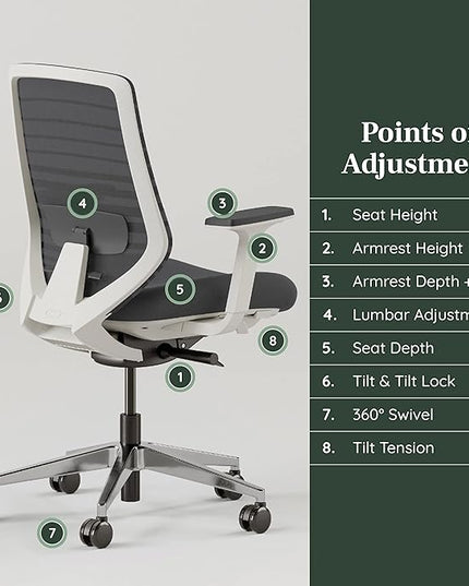 Branch Ergonomic Chair - A Versatile Desk Chair with Adjustable Lumbar Support, Breathable Mesh Backrest, and Smooth Wheels - Experience Optimal Comfort and Support - Graphite - White - LeafyLoom