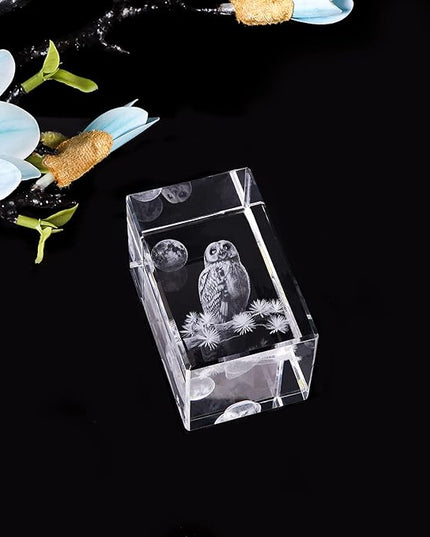 Qianwei Owl Gifts for Women Girls Home Decorations, 3D Crystal Owl Figurines Stuff Gifts for Owl Lovers Mom kids Men Her Statue Paperweight Birthday for Best Friend Kids, Keepsake&Paperweight - LeafyLoom