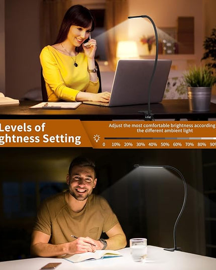 iZELL LED Desk Lamp for Home Office with Clamp [77 LEDs Light 3 Color Modes & 10 Brightness Levels] Flexible Gooseneck Book Lights, Easy Clip on Reading Headboard - LeafyLoom
