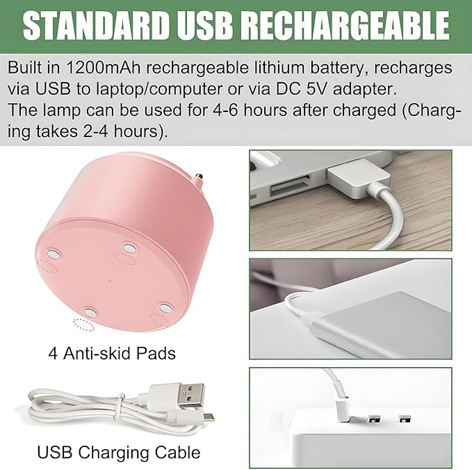 Cute LED Desk Lamp Kawaii Desk Accessories, Flower Bird Table lamp USB Rechargeable, 3 Color Modes, Stepless Dimming, Touch-Sensitive Switch Kawaii Room Decor Lamp, Eye Caring Reading Lamp (Green) - LeafyLoom