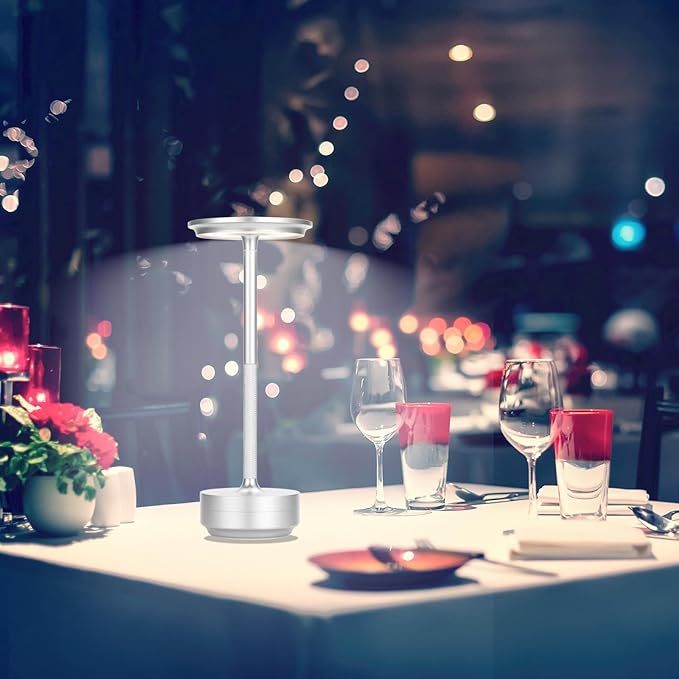 Cordless Table Lamp,Rechargeable Table Lamp for Dinning，Restaurant,Nightstand，LED Battery Operated 3-Level Dimming Portable Outdoor Cordless Lamp,Touch Eye Protection Night Light (Silver)… - LeafyLoom