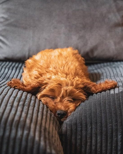 Bean Bag Chairs Cover (No Filler),Bean Bag Cover,Bean Bag for Kids,Adults,Teens-[Small 32 * 28 in]inches Gray Bean Bags - LeafyLoom