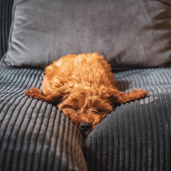 Bean Bag Chairs (No Filler),Bean Bag Cover,Stuffed Animal Storage Toddler Bean Bag for Adults,Kids,Teens,Large Bean Bag for Pink - LeafyLoom