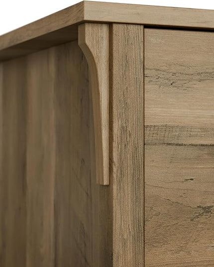Bush Furniture Salinas Accent Storage Cabinet with Doors in Reclaimed Pine - LeafyLoom