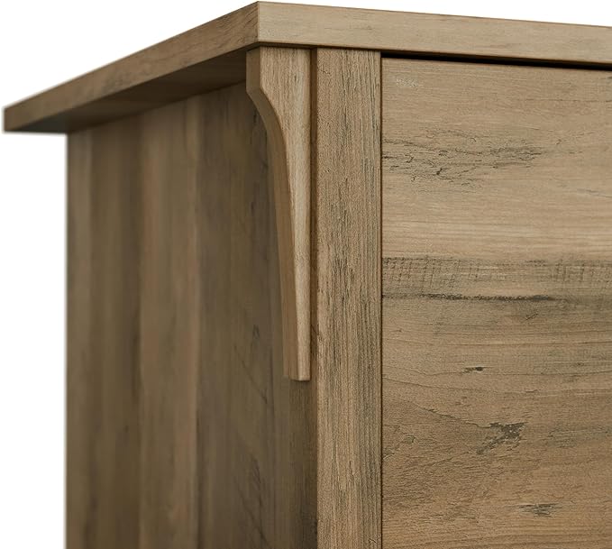 Bush Furniture Salinas Accent Storage Cabinet with Doors in Reclaimed Pine - LeafyLoom