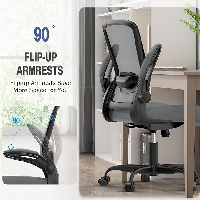 Office Chair, Ergonomic Desk Chair with Adjustable Lumbar Support, High Back Mesh Computer Chair with Flip-up Armrests-BIFMA Passed Task Chairs, Executive Chair for Home Office - LeafyLoom