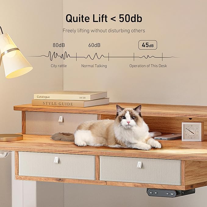 FEZIBO Sturdy Height Adjustable Electric Standing Desk with Drawers, 48 x 24 Inch Stand Up Table with Large Storage Shelf, Sit Stand Desk, Light Rustic Brown Top - LeafyLoom