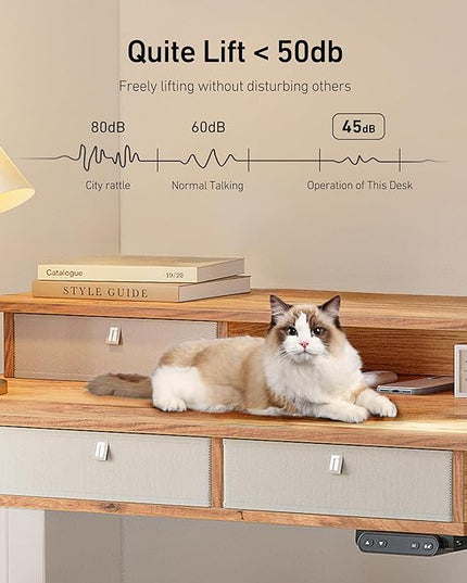 FEZIBO Sturdy Height Adjustable Electric Standing Desk with Drawers, 55 x 24 Inch Stand Up Table with Large Storage Shelf, Sit Stand Desk, Light Rustic Brown Top - LeafyLoom