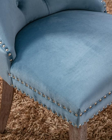 NicBex Haerin-SD-00113-LWJ Dining Chairs, 25.5"x19.7"x37.4", Light Blue - LeafyLoom