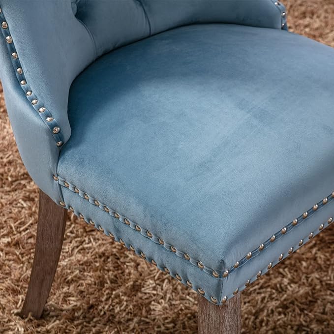 NicBex Haerin-SD-00113-LWJ Dining Chairs, 25.5"x19.7"x37.4", Light Blue - LeafyLoom