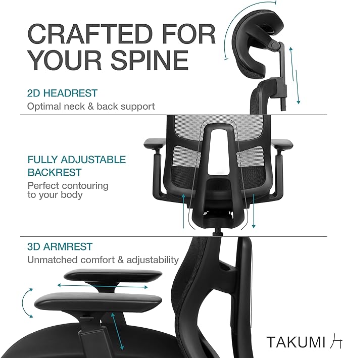Takumi Ergonomic Office Chair Lumbar Support: Ergonomic Chair, Mesh Office Chair, Ergonomic Desk Chair, Best Desk Chair for Long Hours, Mesh Office Chair for Heavy People - Premium Cushion - LeafyLoom