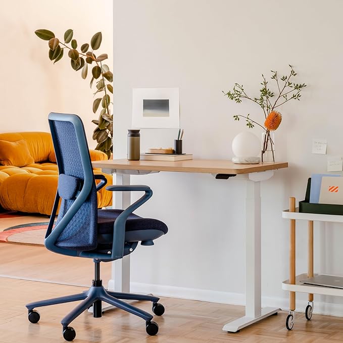 Branch Verve Chair - High Performance Executive Office Chair with Contoured Seat Back and Adjustable Lumbar Rest - High Density Foam Cushion with Aluminum Base - Up to 275 lbs - Cobalt - LeafyLoom