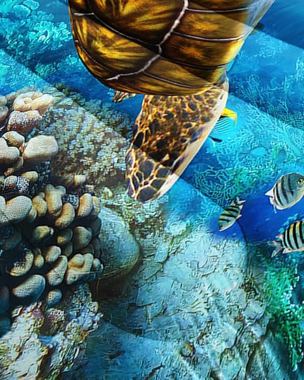 CVHOUSE Sea Turtle Comforter Set,Ocean Sea Turtle Bedding Set for Kids Teens,Ocean Sea Turtle Comforter Sea Turtle Duvet Set Room Decor Quilt Set Queen Size - LeafyLoom