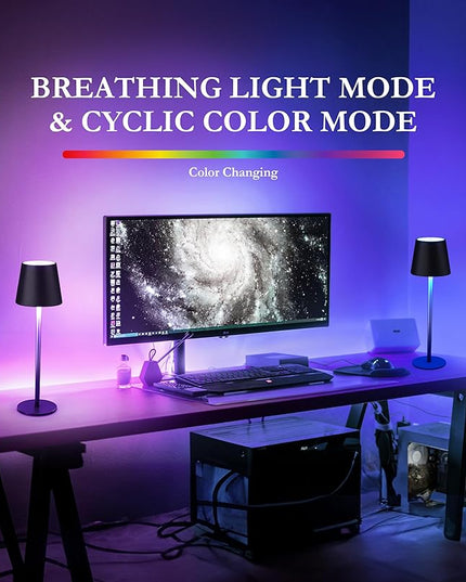 2-Pack 5200mAh RGB Cordless Table Lamp, RGB 8 Modes & Touch Control Rechargeable Battery Desk Lamp, IP54 Waterproof Battery Operated Lamp for Bedroom/Outdoor/Restaurant/Camping/Bars (Black) - LeafyLoom