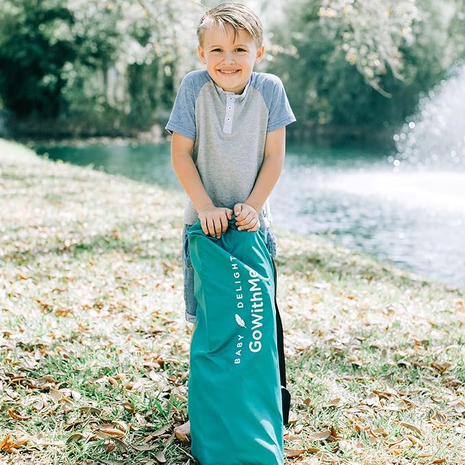 Baby Delight Go with Me Venture Portable Chair | Indoor and Outdoor | Sun Canopy | 3 Child Growth Stages | Teal - LeafyLoom