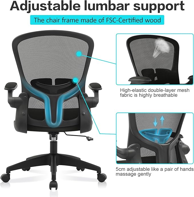 FelixKing Office Desk Chairs, Ergonomic PC Desk Chair with Wheels, Adjustable Lumbar Support and Height, Swivel Computer Chair with Flip-up Armrests, Ergo Mesh Backrest for Working (Black) - LeafyLoom