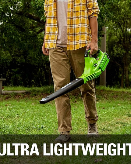 Greenworks 40V Leaf Blower/Sweeper, 150 MPH, Lightweight, Quiet, with 2.0 Ah Battery and Charger - LeafyLoom