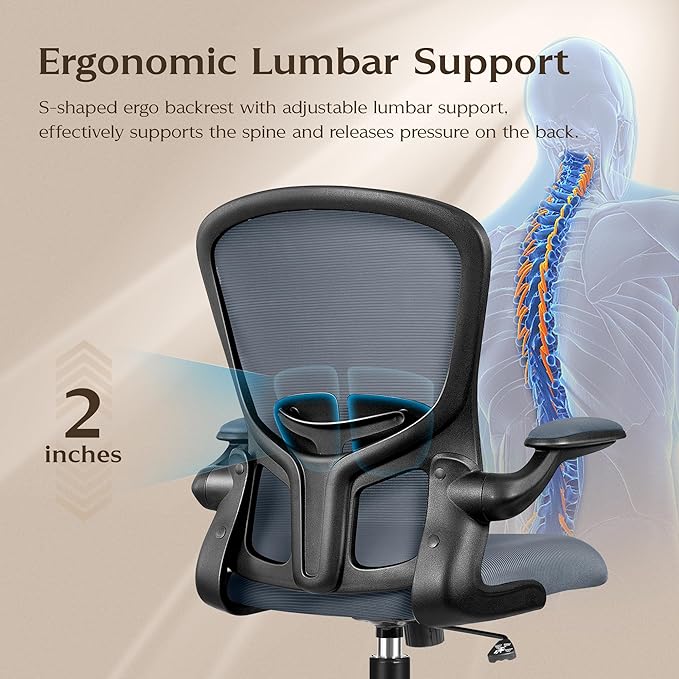 FelixKing Office Chair, Ergonomic Desk Chairs with Wheels Home Mesh Chair Adjustable Lumbar Support and Height, Ergo Chair for Working Gaming Use (Dark Gray) - LeafyLoom