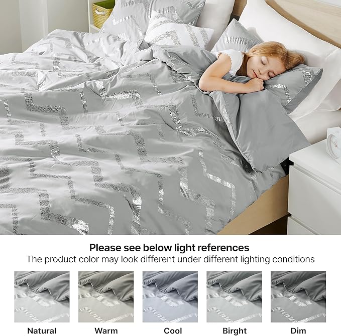 Codi Ziggy Metallic Grey Comforter Set Twin/Twin XL Size, Silver Bedroom Decor for Girls Room, 3 Piece Bedding Sets (2 Matching Sham + 1 Decorative Pillow) - LeafyLoom