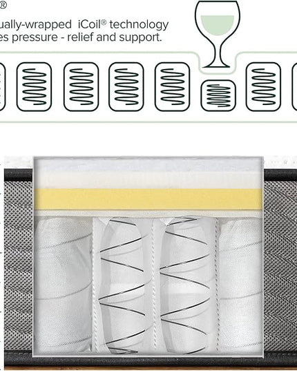 ZINUS 10 Inch Support Plus Pocket Spring Hybrid Mattress, Full, Strong Coils for Durable Support, Pocket Innersprings for Motion Isolation, Mattress in A Box - LeafyLoom