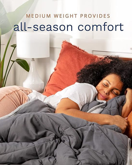 ViscoSoft Microfiber All Seasons Down Alternative Comforter - Cooling Breathable Premium Soft Reversible Microfiber Duvet Blanket, Light Gray/Dark Gray, King/California King - LeafyLoom