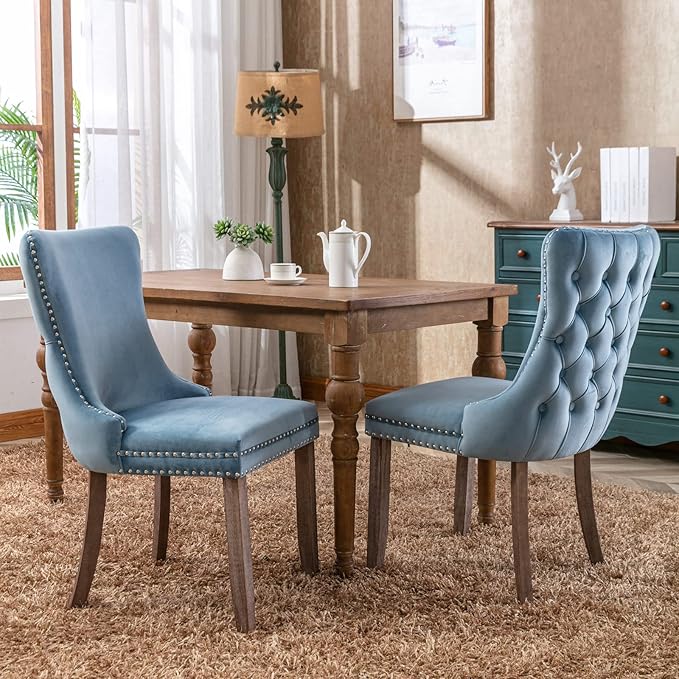 NicBex Haerin-SD-00119-LWJ Dining Chairs, 27.4"x20.4"x37.4", Light Blue - LeafyLoom