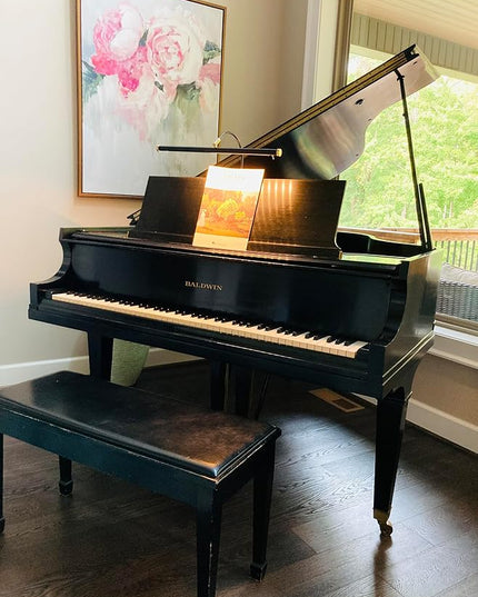 Cocoweb 19" LED Grand Piano Light in Mahogany Bronze with Brass Accents with Dimmer Clip - LeafyLoom