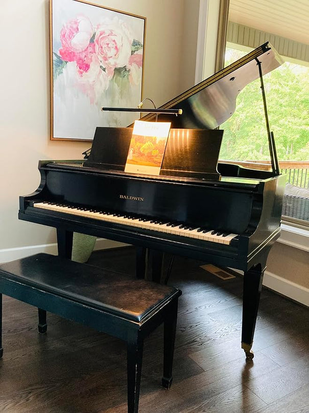 Cocoweb 19" LED Grand Piano Light in Black with Brass Accents with Dimmer Clip - LeafyLoom