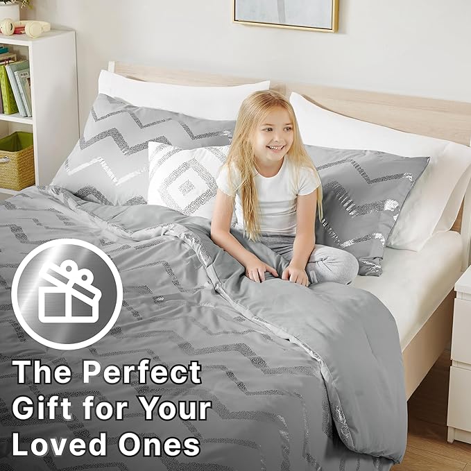 Codi Ziggy Metallic Grey Comforter Set Twin/Twin XL Size, Silver Bedroom Decor for Girls Room, 3 Piece Bedding Sets (2 Matching Sham + 1 Decorative Pillow) - LeafyLoom