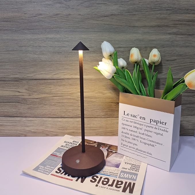 2 PACK Cordless Lamps,Battery Rechargeable Table Lamp,Portable Lamps,2 Level Brightness Dimmable Night Light,Minimalist Design,Cordless Table Lamps for Living Room/Restaurant/Couple Dinner(Rust) - LeafyLoom