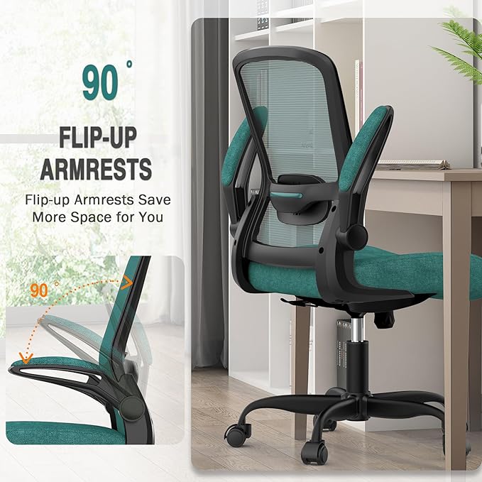 Office Chair, Ergonomic Desk Chair with Adjustable Lumbar Support, High Back Mesh Computer Chair with Flip-up Armrests-BIFMA Passed Task Chairs, Executive Chair for Home Office - LeafyLoom