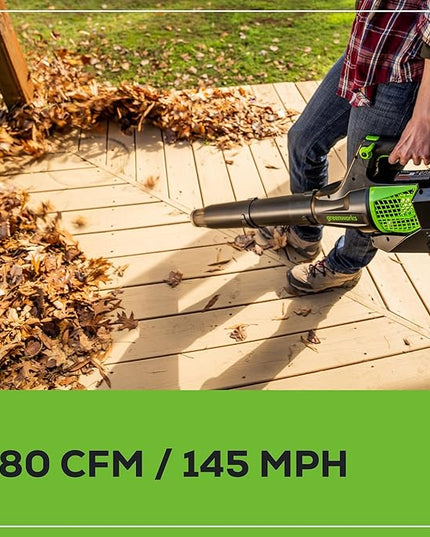 Greenworks Pro 80V (145 MPH / 580 CFM) Brushless Cordless Axial Leaf Blower, 2.5Ah Battery and Charger Included BL80L2510 & PRO 80V 2.0Ah Lithium-Ion Battery (Genuine Battery) - LeafyLoom