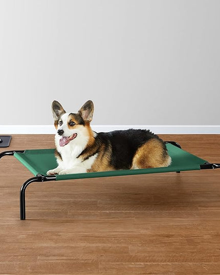 Amazon Basics Cooling Elevated Pet Dog Bed, Medium (43 x 26 x 7.5 Inches), Green AmazonBasics