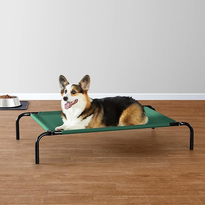 Amazon Basics Cooling Elevated Pet Dog Bed, Medium (43 x 26 x 7.5 Inches), Green AmazonBasics