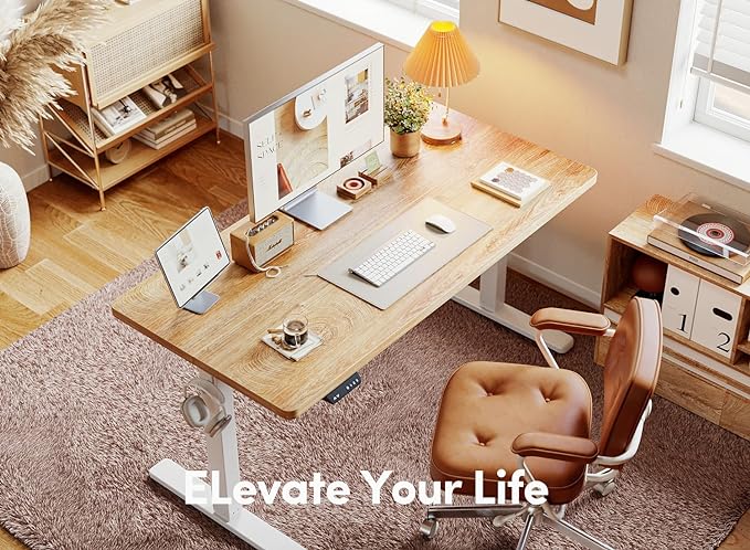 BANTI 48'' Standing Desk, Electric Stand up Height Adjustable Home Office Table, Sit Stand Desk with Splice Board, Maple - LeafyLoom