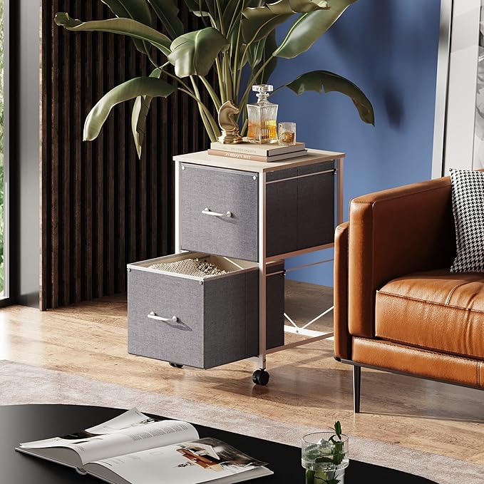 DEVAISE 2 Drawer Mobile File Cabinet, Rolling Printer Stand, Fabric Vertical Filing Cabinet fits A4 or Letter Size for Home Office, Light Grey - LeafyLoom