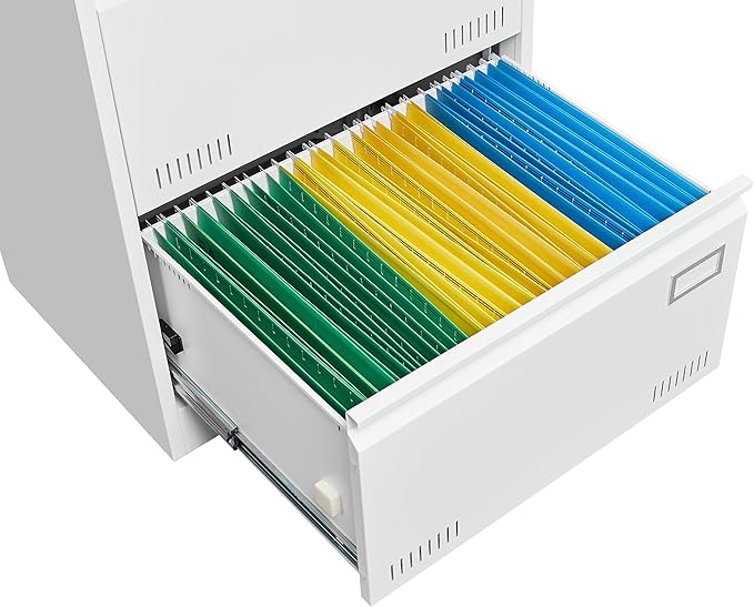 2 Drawer Lateral Lock and Card Holder, Multifunctional Metal Filing Cabinets w/Heavy 3 Section Slide Rail & Breathable Holes,for Legal/Letter/A4,White - LeafyLoom