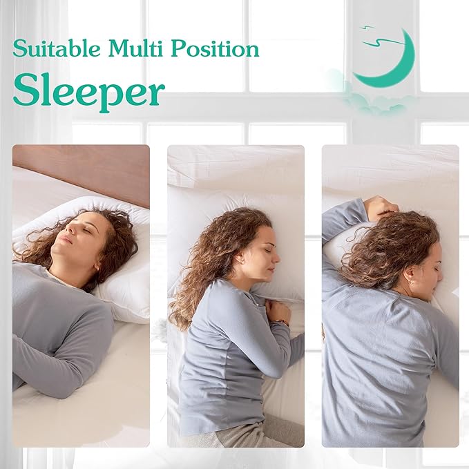 Three Geese White Goose Feather Bed Pillows Queen Size Set of 1- Soft 600 Thread Count 100% Cotton, Medium Firm,Soft Support Surround Fill Polyester (Queen Size:Pack of 1) - LeafyLoom