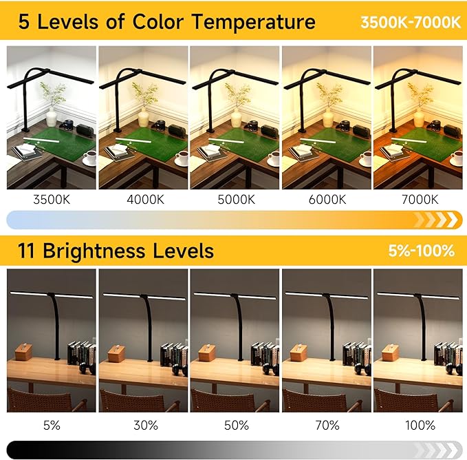 SKYLEO Desk Lamp - Double Head LED Desk Light for Home office - 24W Eye Caring - Touch Control - 5 Color Modes X 11 Brightness Levels - 2400LM - Timmer & Memory Function - Black - LeafyLoom