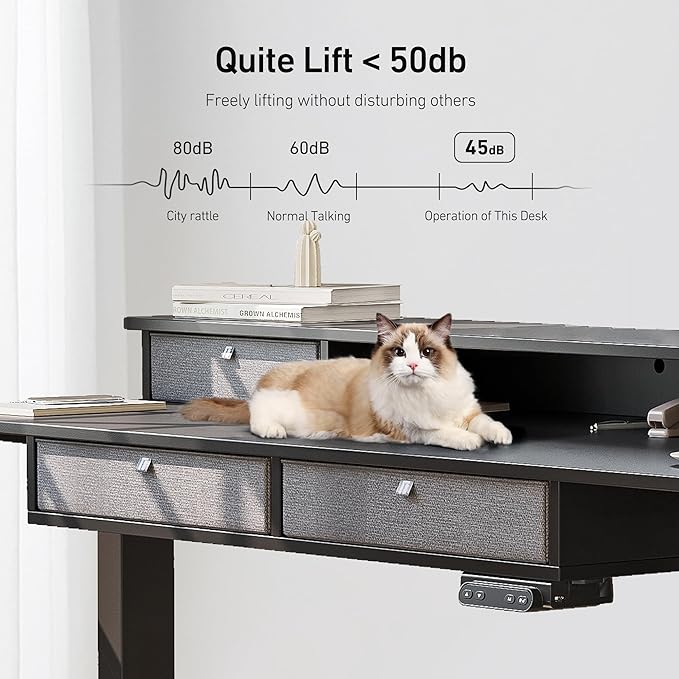 FEZIBO Sturdy Height Adjustable Electric Standing Desk with Drawers, 55 x 24 Inch Stand Up Table with Large Storage Shelf, Sit Stand Desk, Black Top - LeafyLoom