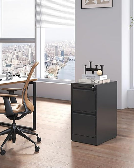 2 Drawer File Cabinet with Lock, Metal Vertical Filing Cabinets for Home Office, Steel Storage Cabinet for Hanging Legal/Letter Size Files, Assembly Required (Black) - LeafyLoom