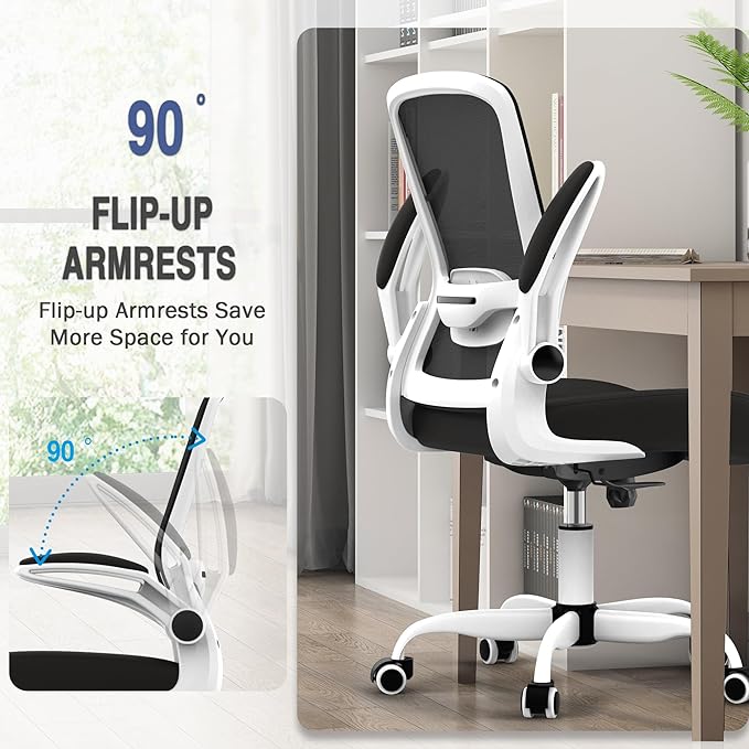 Office Chair, Ergonomic Desk Chair with Adjustable Lumbar Support, High Back Mesh Computer Chair with Flip-up Armrests-BIFMA Passed Task Chairs, Executive Chair for Home Office - LeafyLoom