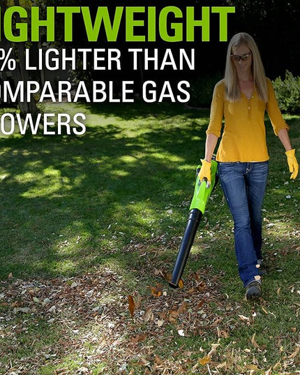 Greenworks 40V (110 MPH / 390 CFM) Cordless Axial Blower, 2.5Ah Battery and Charger Included - LeafyLoom