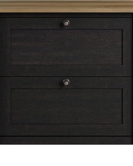 Bush Furniture Mayfield 2 Drawer Lateral File Cabinet in Vintage Black and Reclaimed Pine | Storage for Home Office Workspace - LeafyLoom
