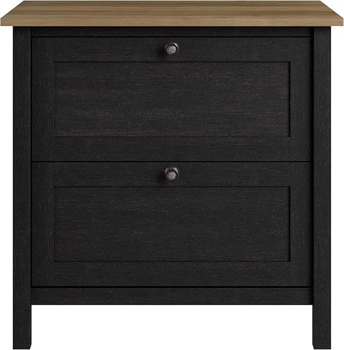 Bush Furniture Mayfield 2 Drawer Lateral File Cabinet in Vintage Black and Reclaimed Pine | Storage for Home Office Workspace - LeafyLoom