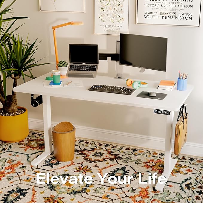 Monomi Electric Standing Desk, 55 x 24 inches Height Adjustable Desk, Ergonomic Home Office Sit Stand Up Desk with Memory Preset Controller (White Top/White Frame) - LeafyLoom
