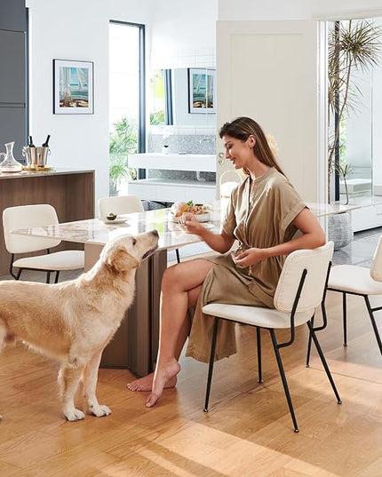 COLAMY Modern Upholstered Dining Chairs Set of 6, Fabric Dining Room Chairs Accent Diner Chair Stylish Kitchen Chairs with Solid Metal Legs, Cream - LeafyLoom