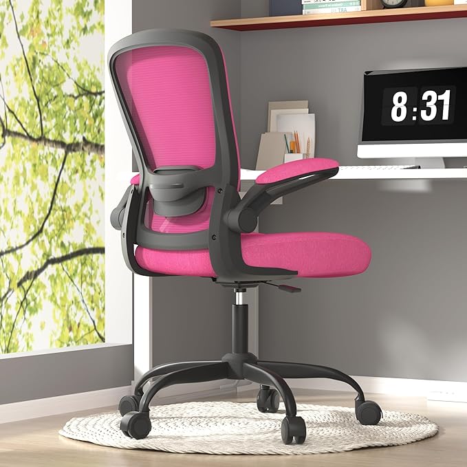Office Chair, Ergonomic Desk Chair with Adjustable Lumbar Support, High Back Mesh Computer Chair with Flip-up Armrests-BIFMA Passed Task Chairs, Executive Chair for Home Office - LeafyLoom