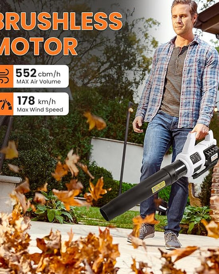 20V Cordless Brushless Leaf Blower for Lawn Care, 580-CFM 160-MPH 4.0Ah Battery Powered with Variable Speed, Handheld, Including Battery&Fast Charger. - LeafyLoom