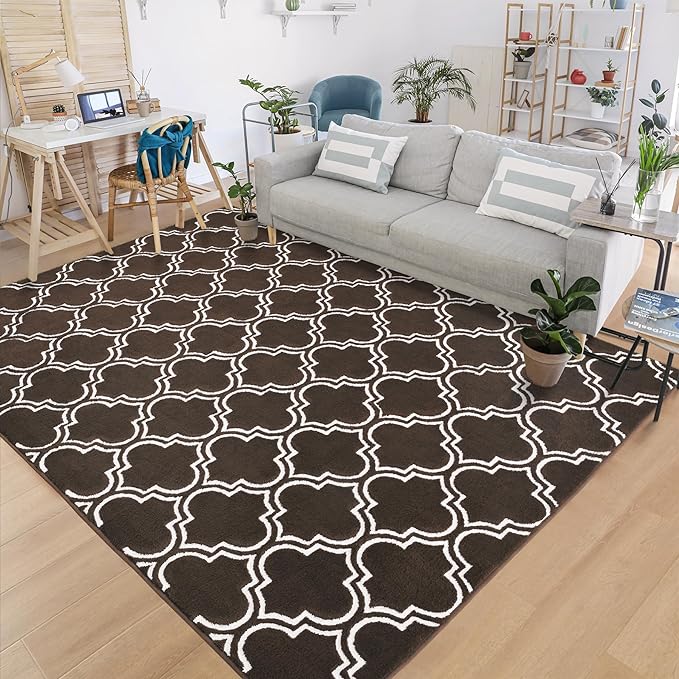 Chicrug Shag Geometric 5x7 Area Rug for Living Room, Large Modern Memory Foam Indoor Carpet, Fluffy Rug for Bedroom Bedside Room Decor for Family Girls Kids Nursery, Brown/White - LeafyLoom